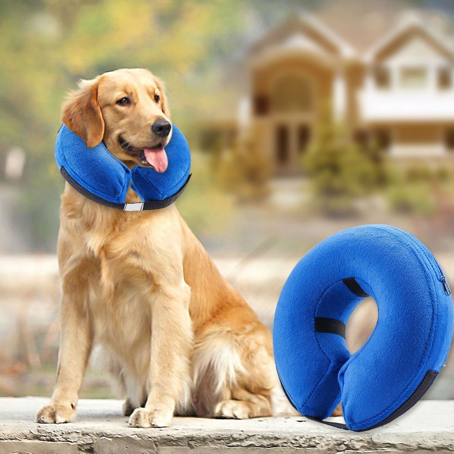 Protective Inflatable Collar for Dogs and Cats Purrfect Pawz