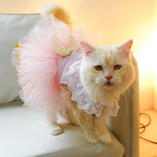 Pet Clothing Cat Clothes Lace Cat Purrfect Pawz