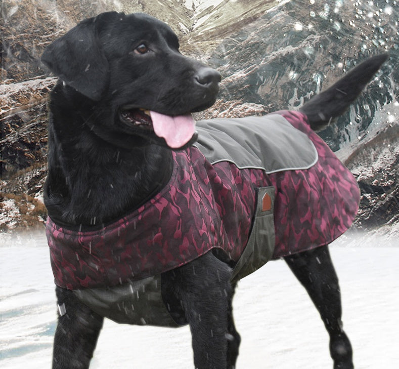 Winter Warm Jacket For Medium And Large Dogs Purrfect Pawz