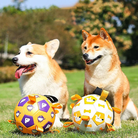 Dog Interactive Football Toys Children Soccer Dog Outdoor Training Balls Pet Sporty Bite Chew Teething Ball With Cute Printing Purrfect Pawz