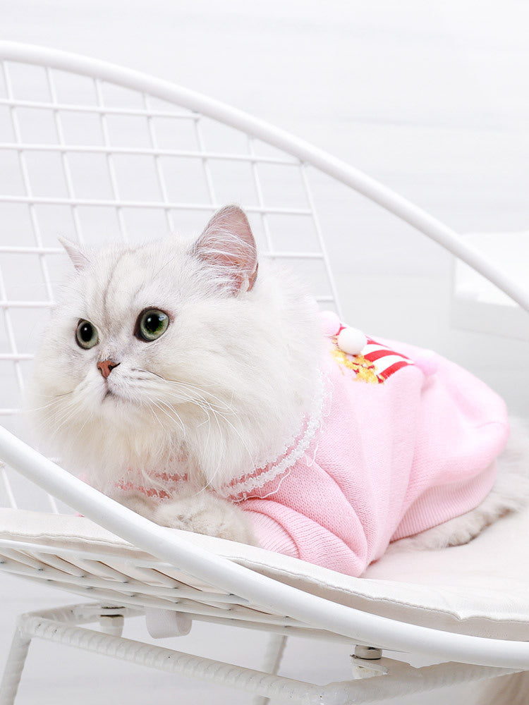 Cat casual clothes Purrfect Pawz