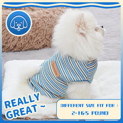 New Arrival Cooling Vest For Dog Designer Dog Clothes Chihuahua Small Dog Summer  Pet Items Dog Pet Shirt Dog Fashion Outfit Purrfect Pawz
