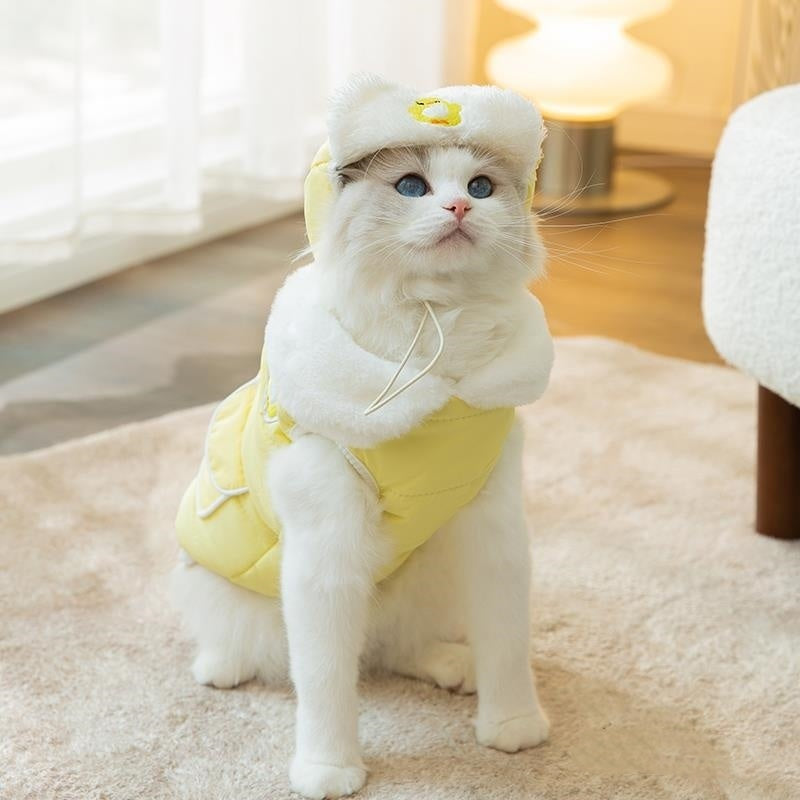 Cat Clothes Autumn And Winter Clothes Thickened Cotton-padded Clothes Anti-lint Purrfect Pawz