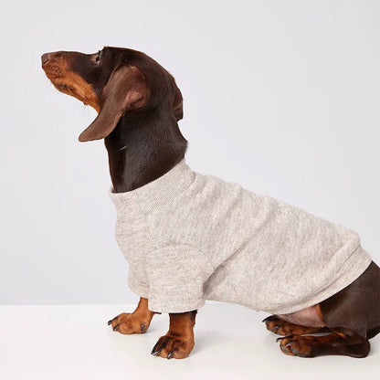 Cold-proof Handsome Pet Cat Dog Clothes Purrfect Pawz