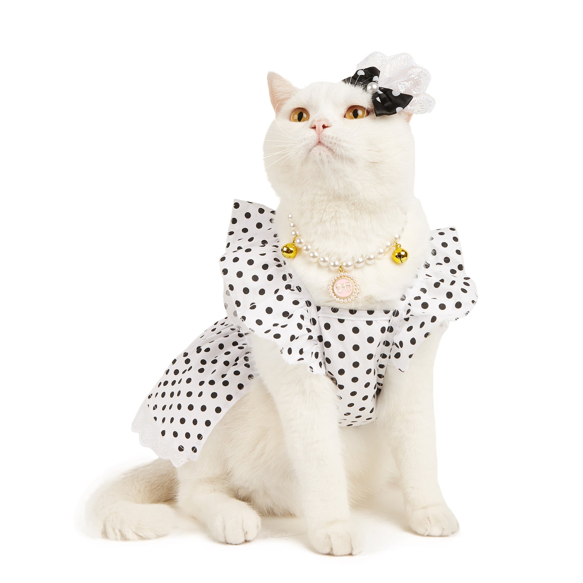 Black And White Polka Dot Dress Dog Princess Cute Skirt Purrfect Pawz