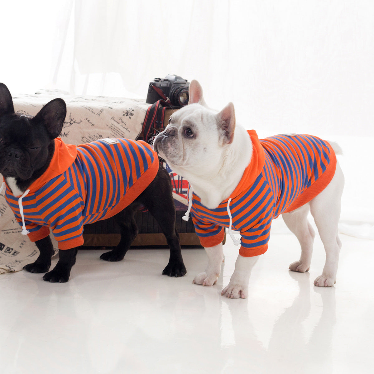 Pet Dog Autumn And Winter Fleece Hooded Sweatshirt Purrfect Pawz