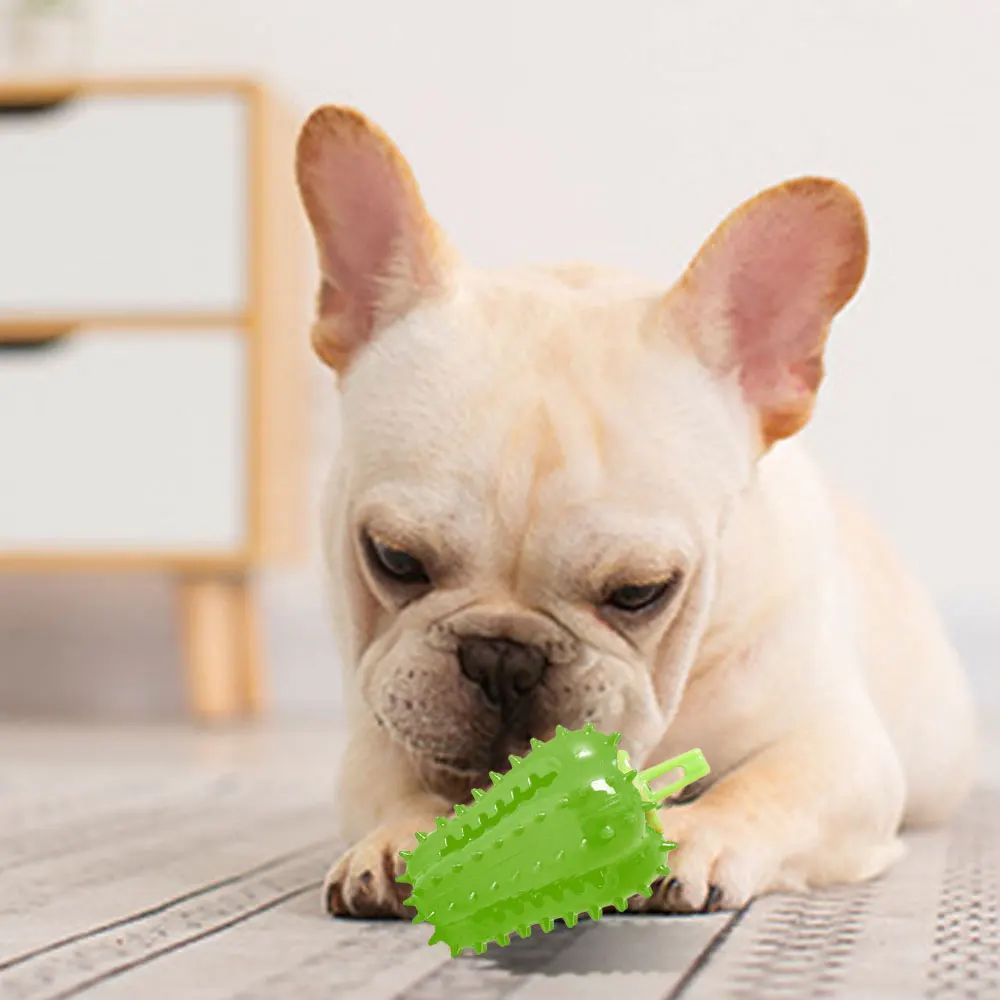 Interactive Dog Teething Chili Chewers Toy Interactive Toys Dog Toys Purrfect Pawz