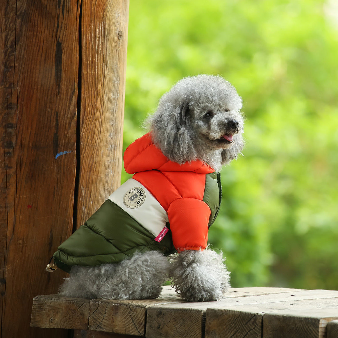 Two-Legged Cotton-Padded Clothes Multi-Color Optional Dog Warm Outdoor Clothes Purrfect Pawz