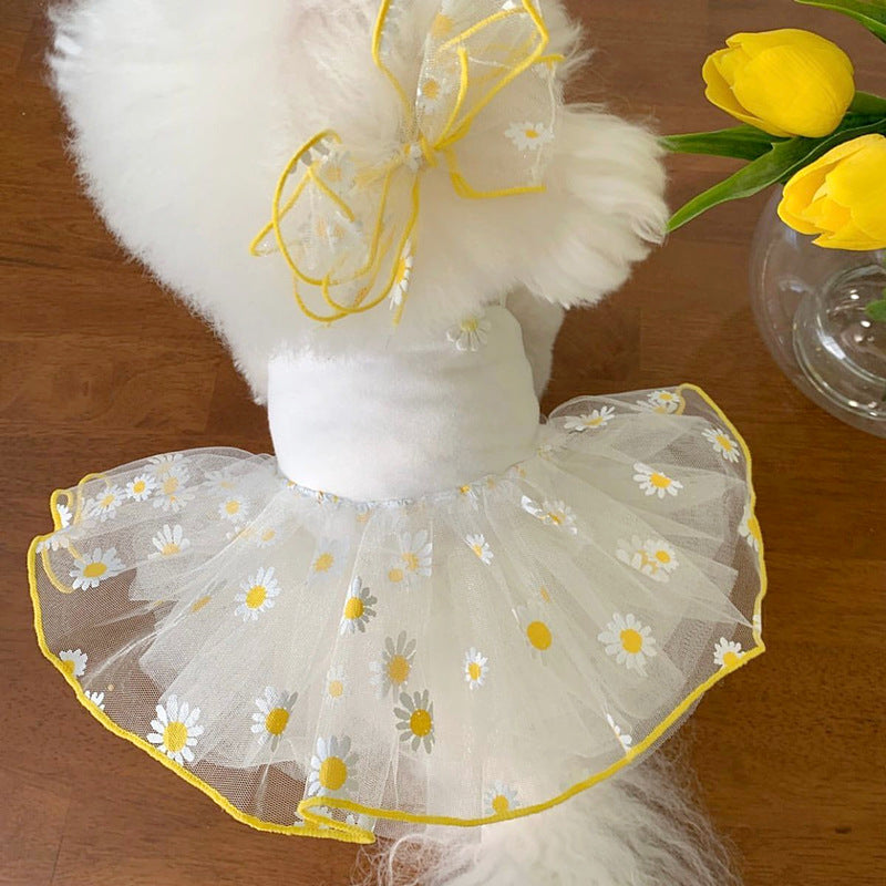Dog Clothes Fashion Personality Summer Thin Purrfect Pawz