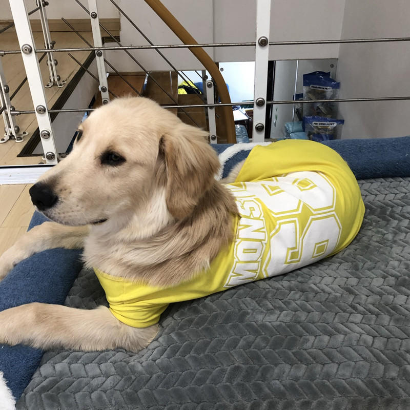 Summer Dog Thin Pet Clothing Vest Purrfect Pawz