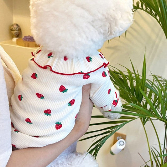 Summer Thin Lace Strawberry Pet Cat Dog Clothes Purrfect Pawz
