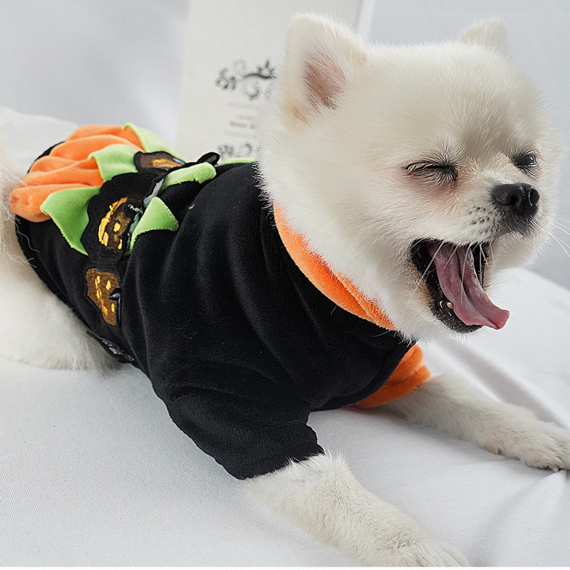 Autumn And Winter Pet Clothes Purrfect Pawz