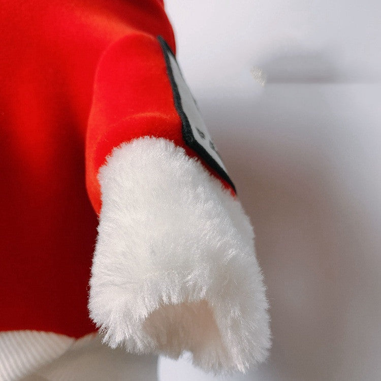 Cat Teddy Golden Retriever Dog Clothes Purrfect Pawz