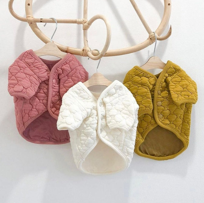 Thickened Warm Pet Cotton Coat Teddy Bichon Poodle Cat Dog Clothes Purrfect Pawz