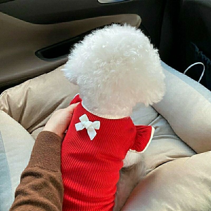 Cat Summer Clothes Small Puppies Pet Dog Thin Breathable Purrfect Pawz