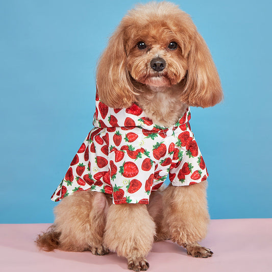 Strawberry Pattern Spring And Summer Dog Clothes Waterproof Purrfect Pawz