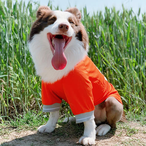 Summer Dog Thin Pet Clothing Vest Purrfect Pawz