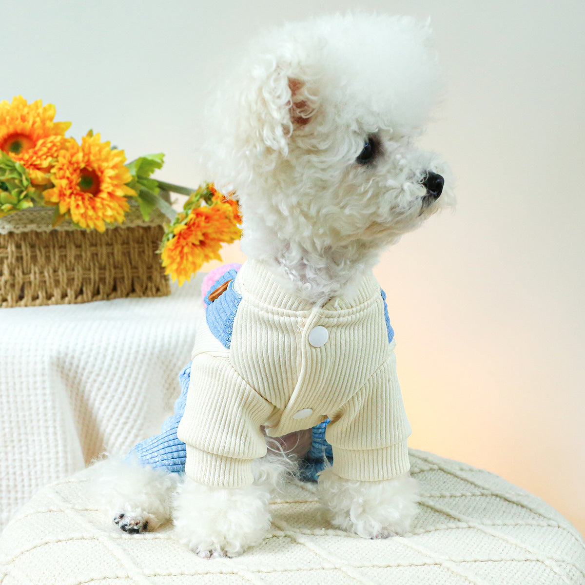 Pet Clothes Dog Cat Clothing Clothing Overalls Purrfect Pawz