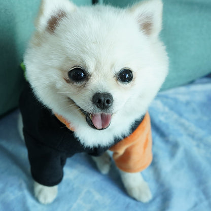 Autumn And Winter Pet Clothes Purrfect Pawz