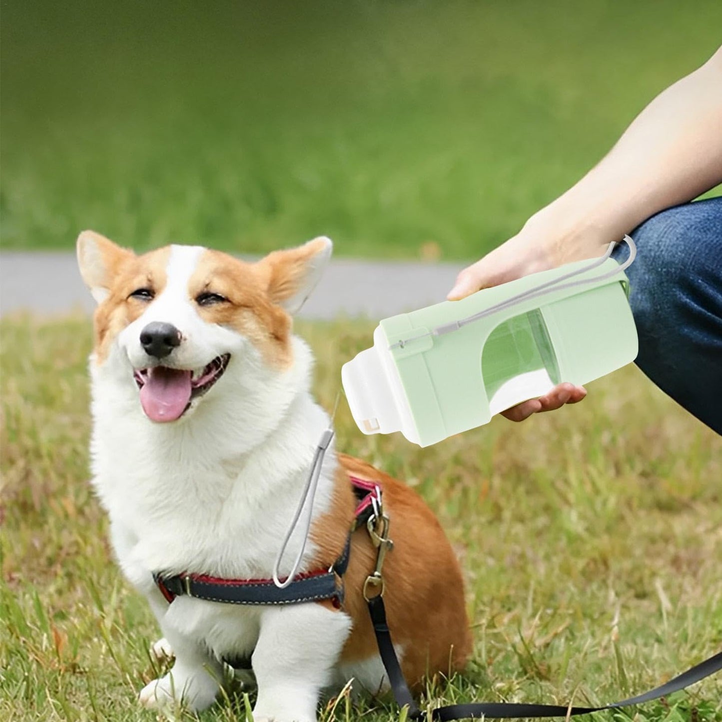 2 In 1 Travel Dog Water Bottle Pet Water Dispenser Feeder Drinking Feeder Dog Outing Water Feeder Pets Outdoor Portable Cup Pet Products Purrfect Pawz
