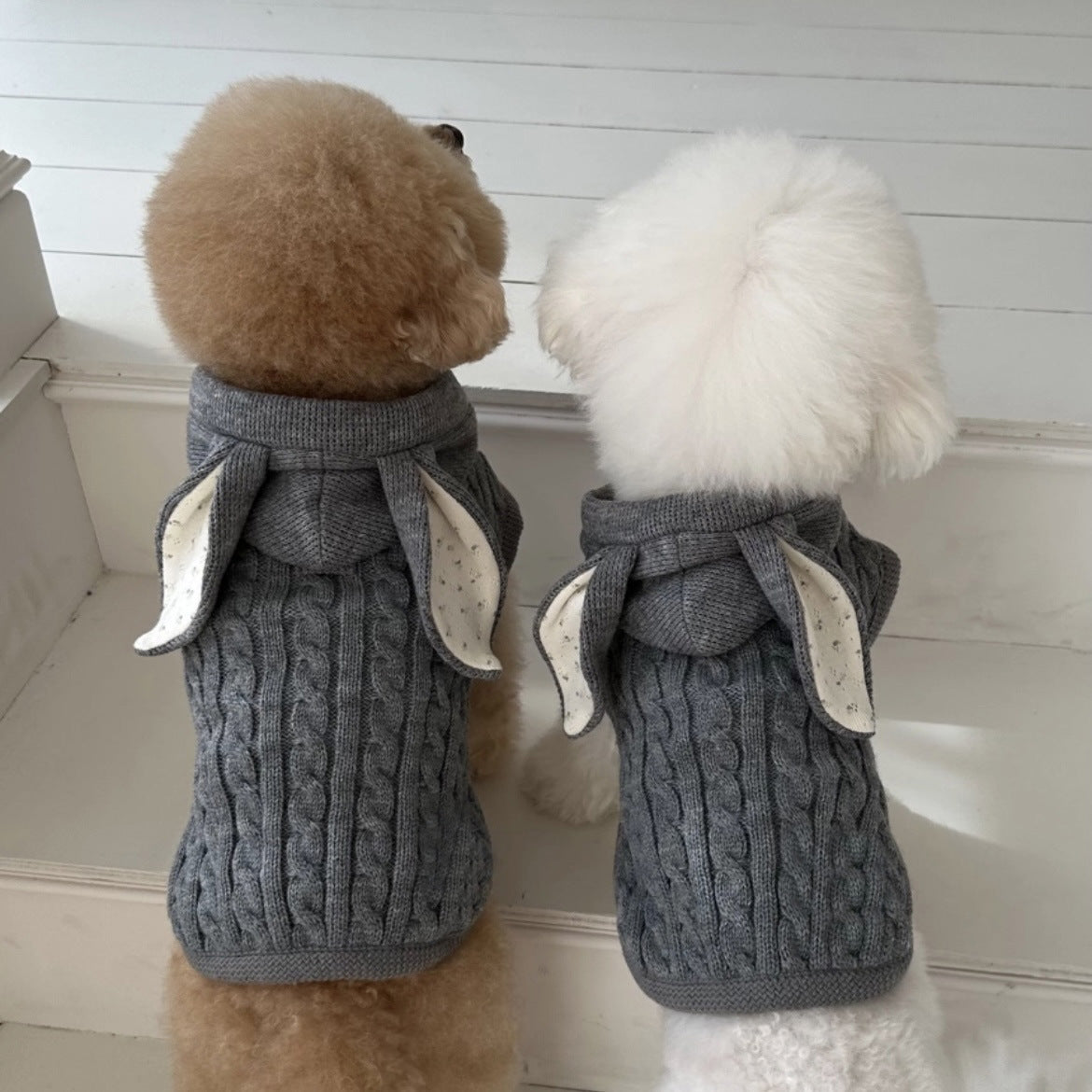 Simple Warm Pet Clothes Cape And Shawl Purrfect Pawz