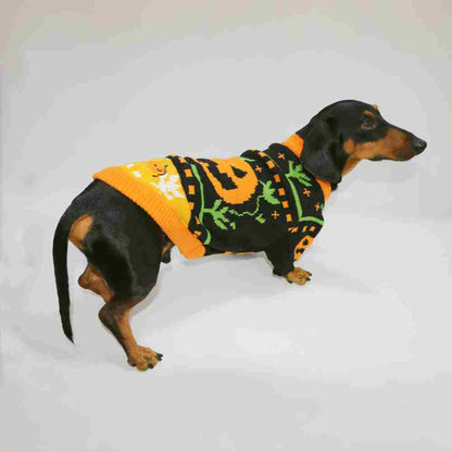 Dog Cat Pet Clothes Warm Pumpkin Color Matching Sweater Purrfect Pawz