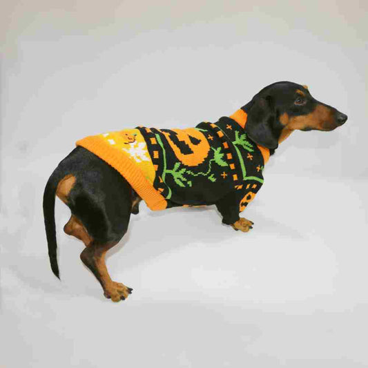Dog Cat Pet Clothes Warm Pumpkin Color Matching Sweater Purrfect Pawz