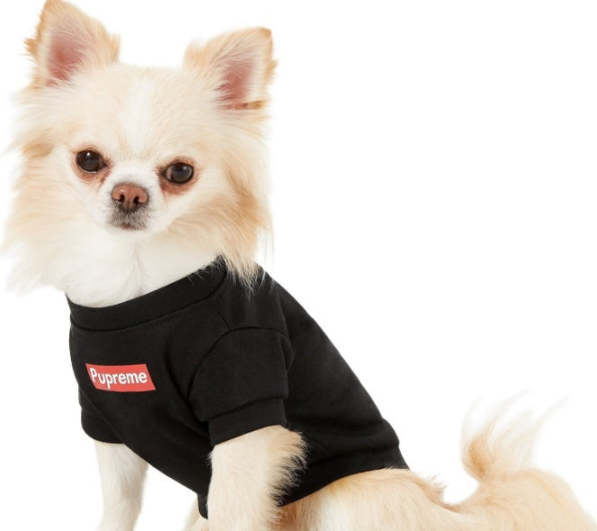 Summer Thin Breathable Pet Clothes Purrfect Pawz
