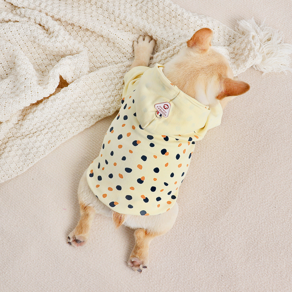 Thickened Hoodie Small Dog Clothes Purrfect Pawz