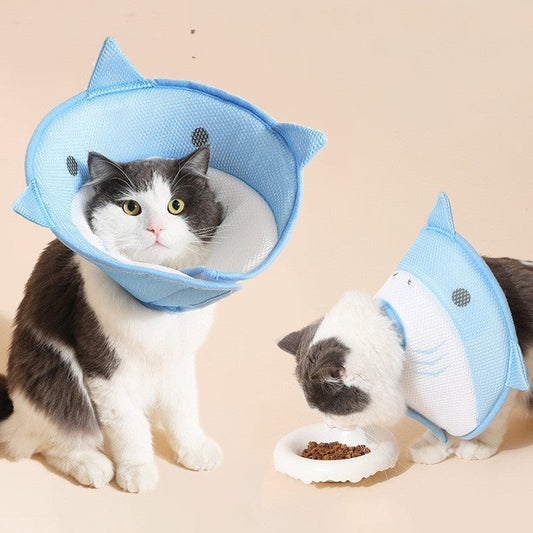 Protective Cover For Pet Cats And Dogs Purrfect Pawz
