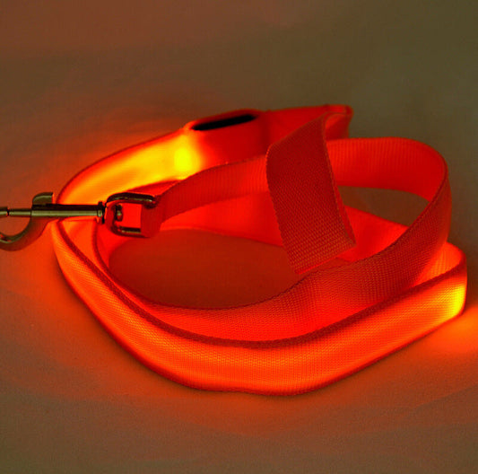 Glowing Pet Leash Glowing Dog LED Purrfect Pawz