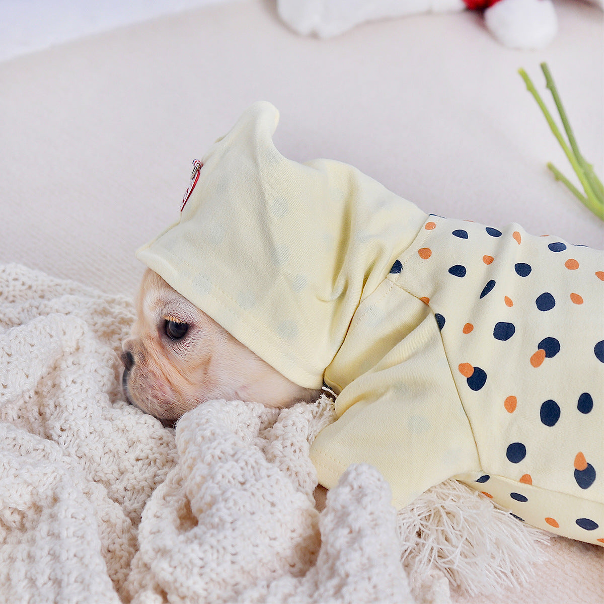 Thickened Hoodie Small Dog Clothes Purrfect Pawz