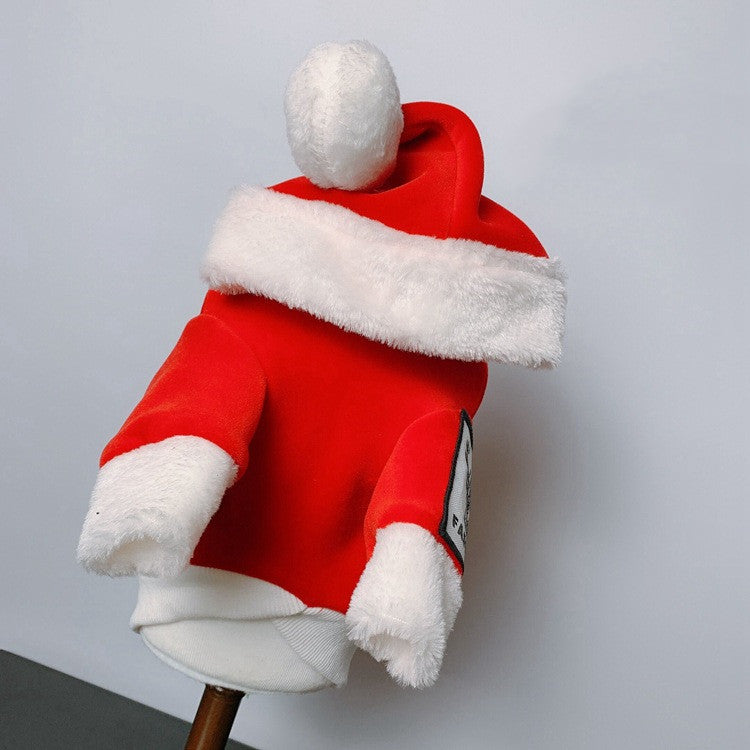 Cat Teddy Golden Retriever Dog Clothes Purrfect Pawz