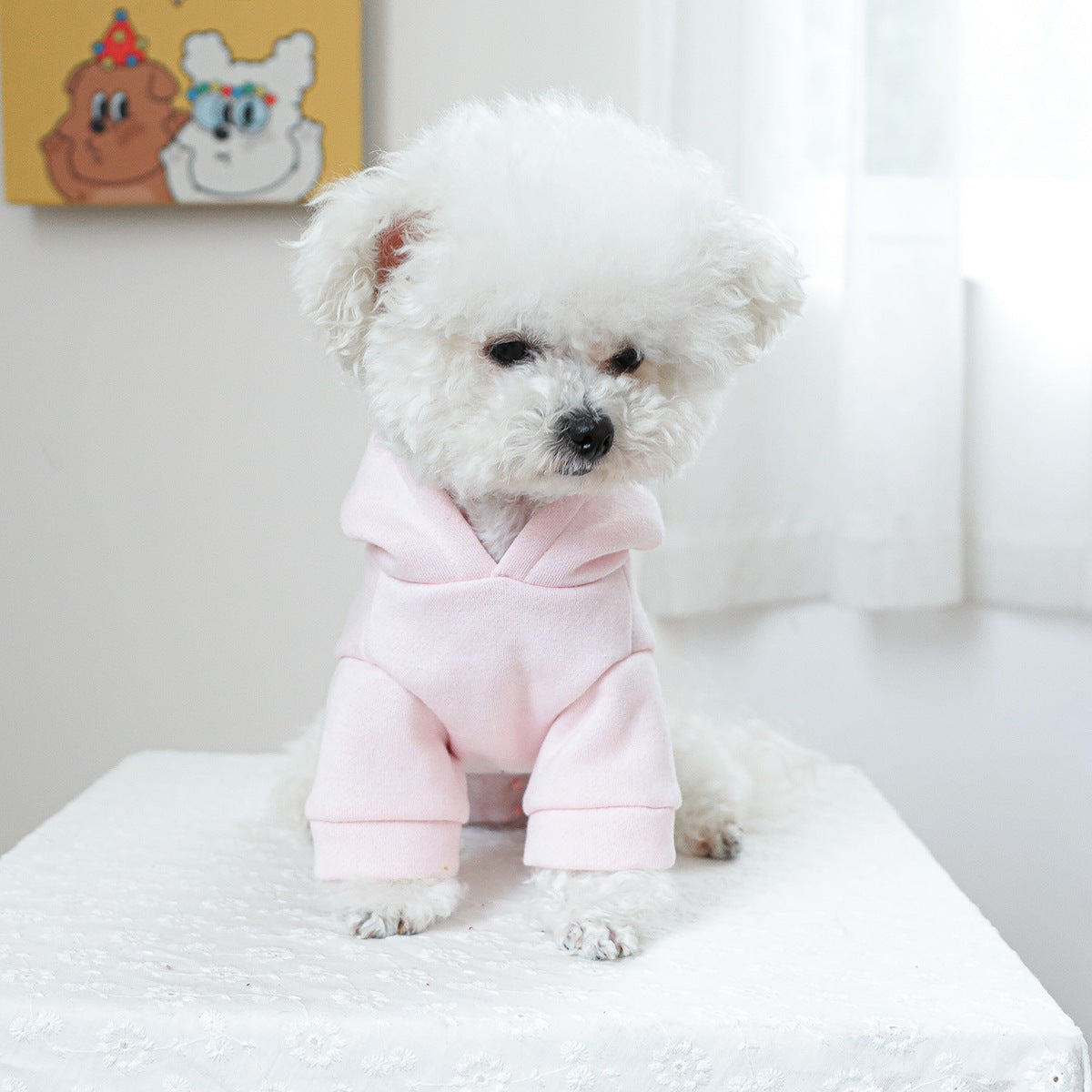 Pet Clothes Dog Cat Clothes Hooded Little Princess Sweater Purrfect Pawz